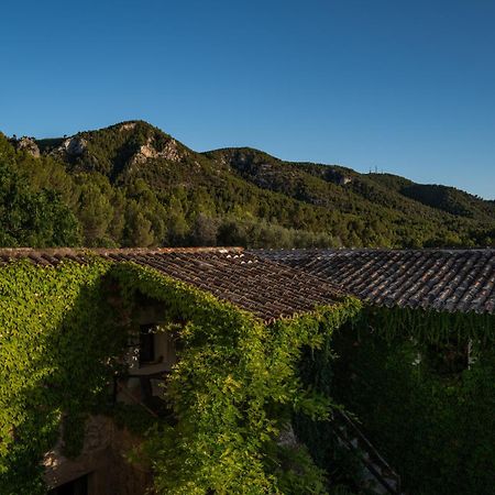 Agroturismo Son Boronat Calvia  Kültér fotó
