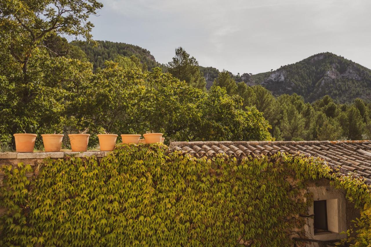 Agroturismo Son Boronat Calvia  Kültér fotó