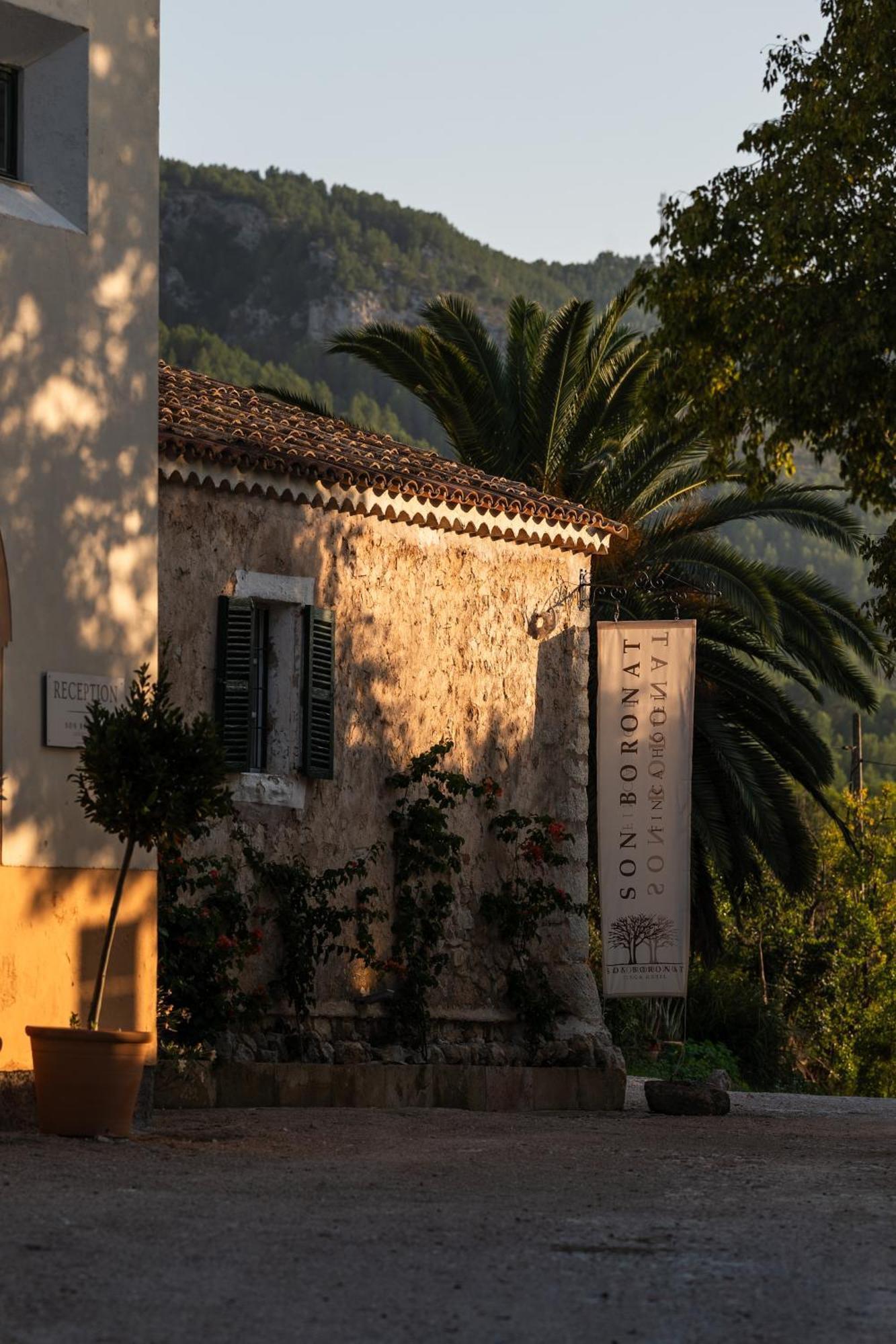 Agroturismo Son Boronat Calvia  Kültér fotó