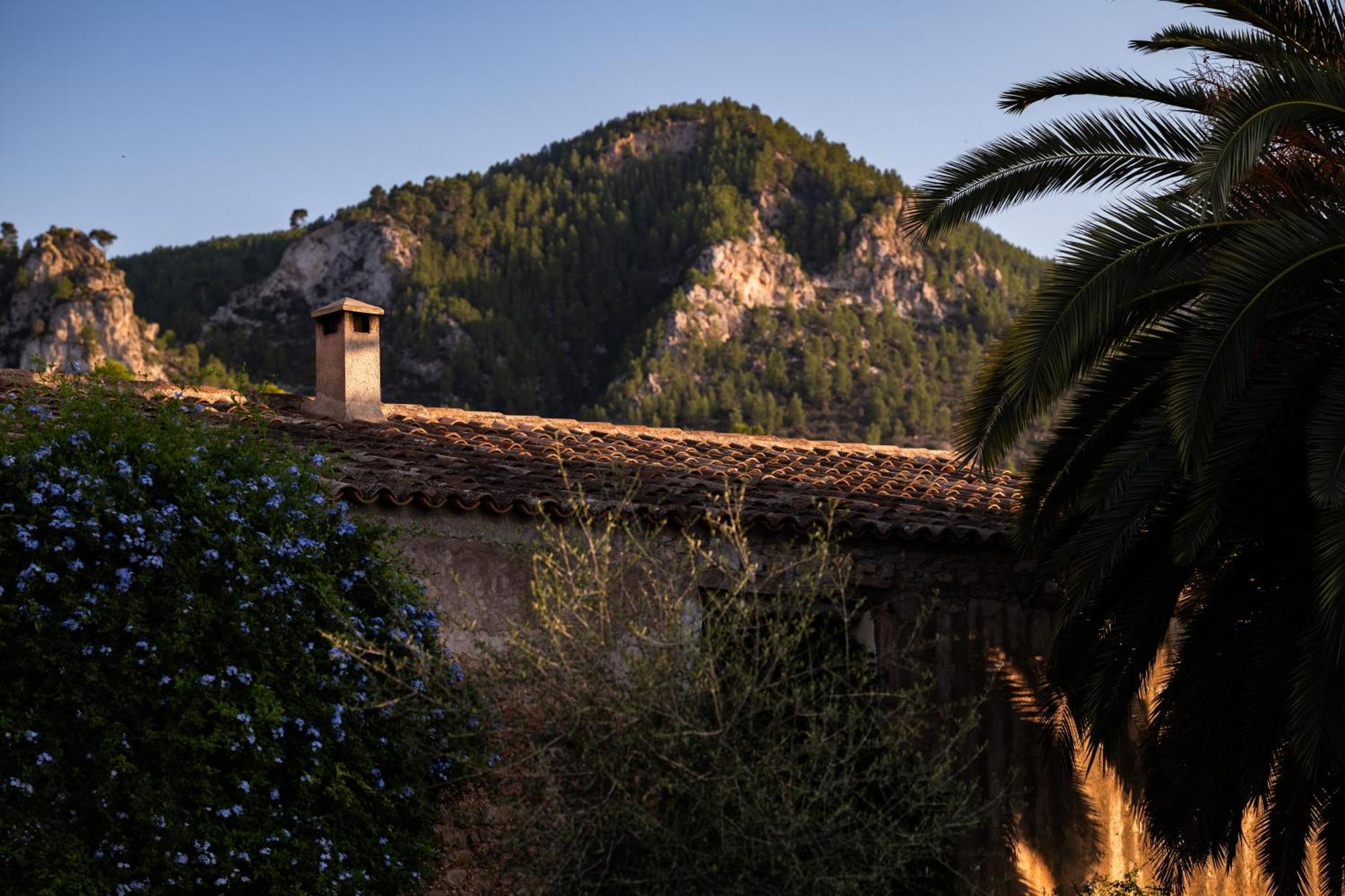 Agroturismo Son Boronat Calvia  Kültér fotó