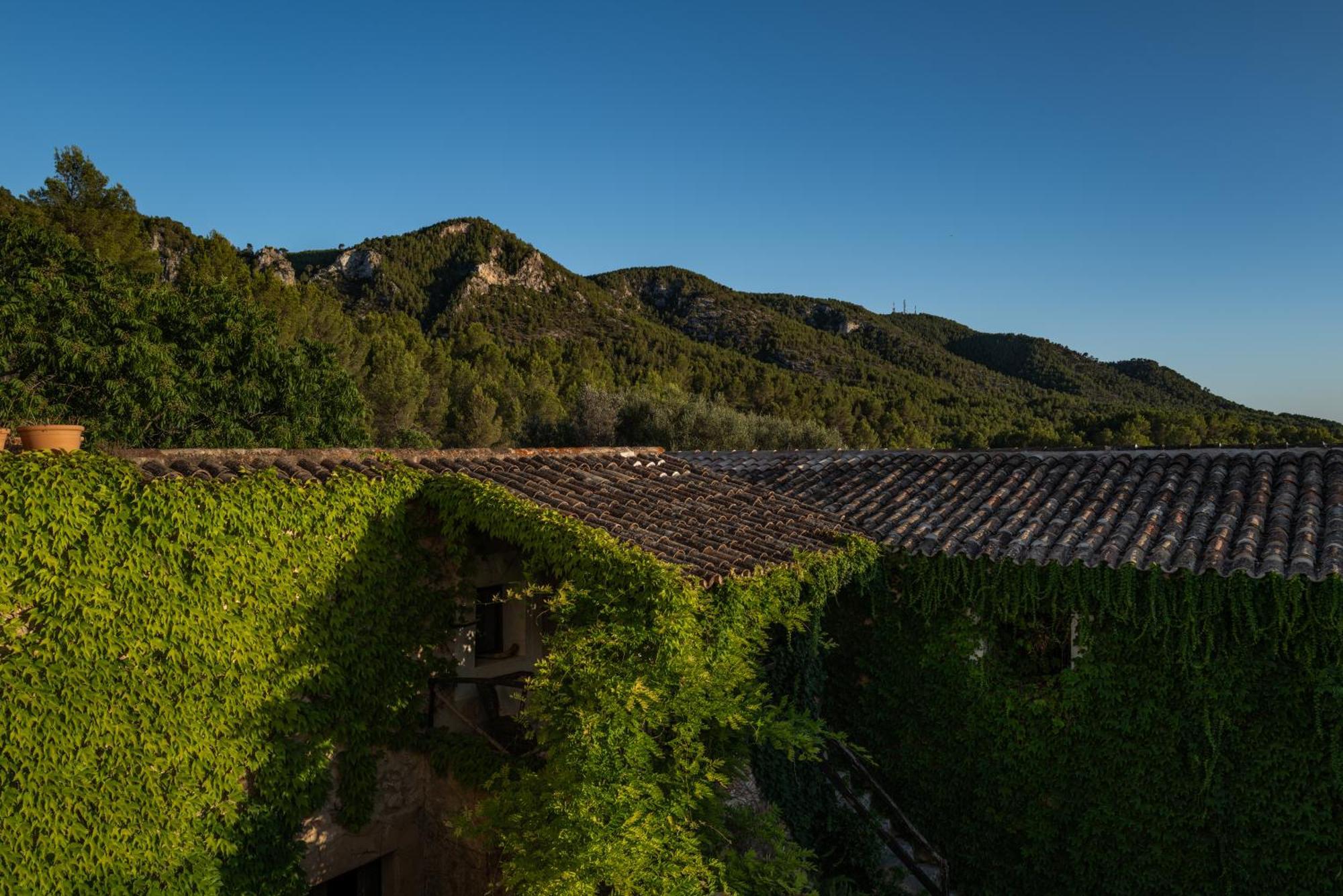 Agroturismo Son Boronat Calvia  Kültér fotó